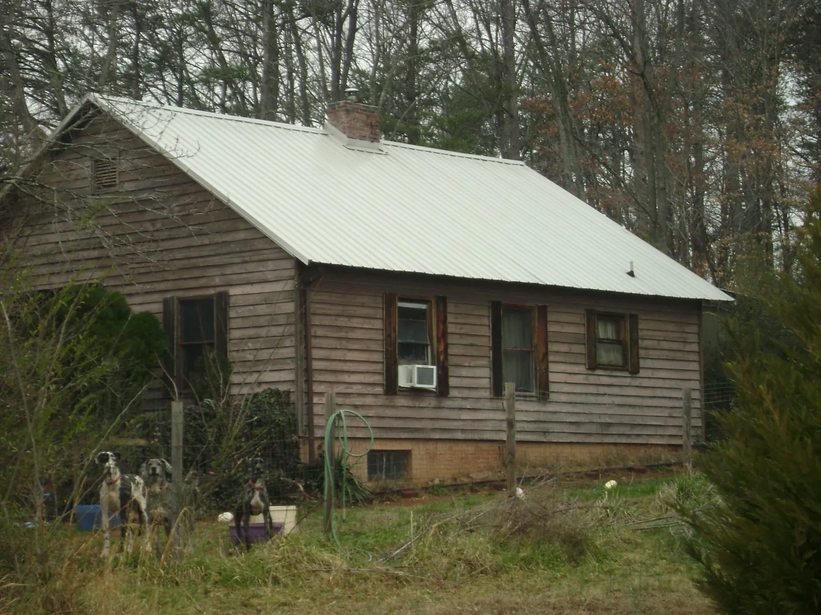 White metal roof on an old wood sided farmhouse, from a Asphalt Shingle Roof Repair job in Royal Center